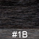 #1B